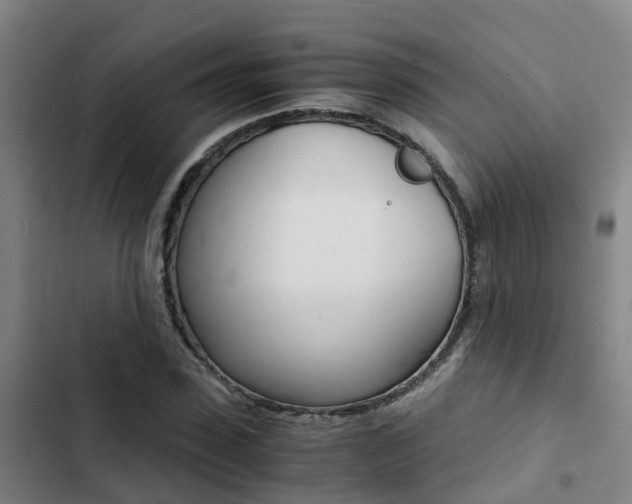 X0000103270923200808291103