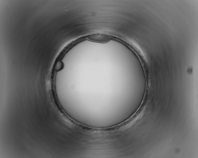 X0000103270924200808291103