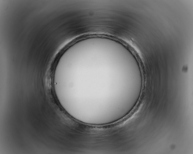 X0000103270925200808291103