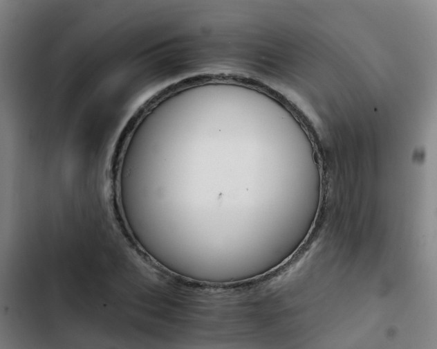 X0000103270927200808291103
