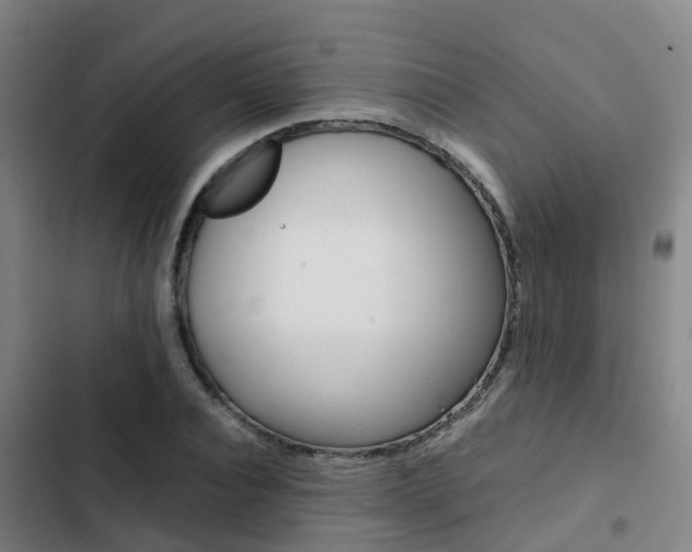 X0000103270928200808291103