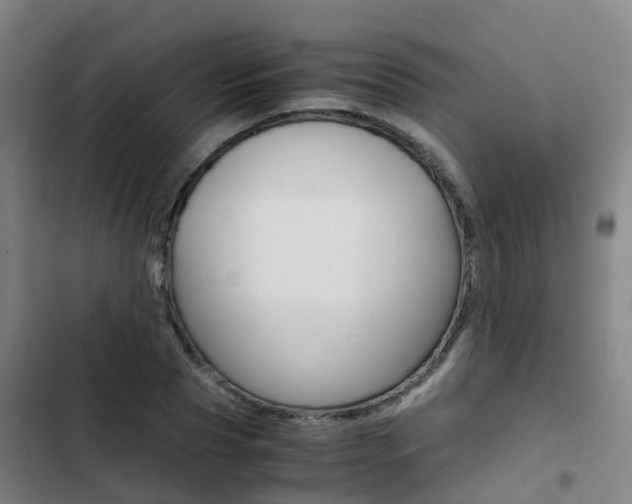 X0000103270929200808291103