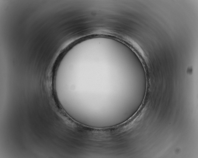 X0000103270931200808291104