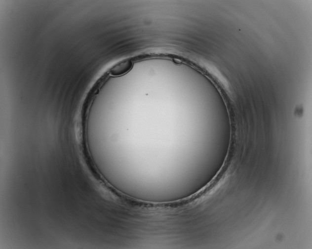 X0000103270934200808291104