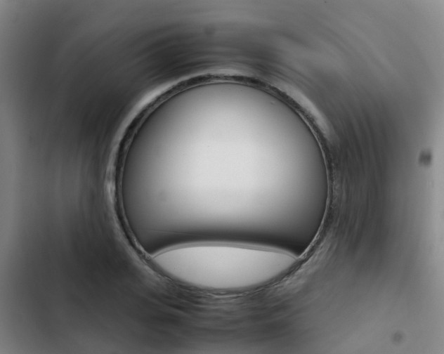 X0000103270935200808291104