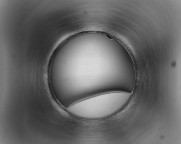 X0000103270942200808291104