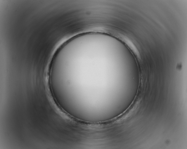 X0000103270944200808291104