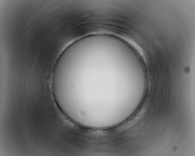 X0000103270945200808291104