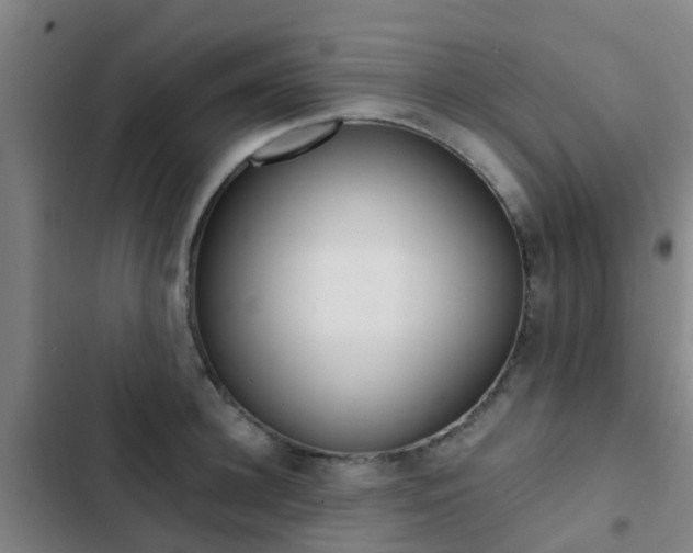 X0000103270948200808291104
