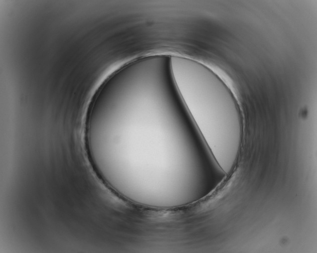 X0000103270949200808291104