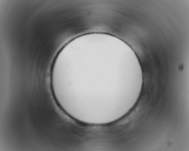 X0000103270950200808291104