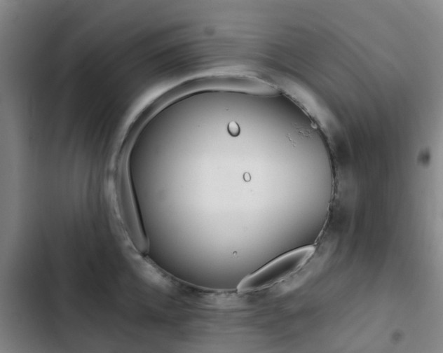 X0000103270952200808291104