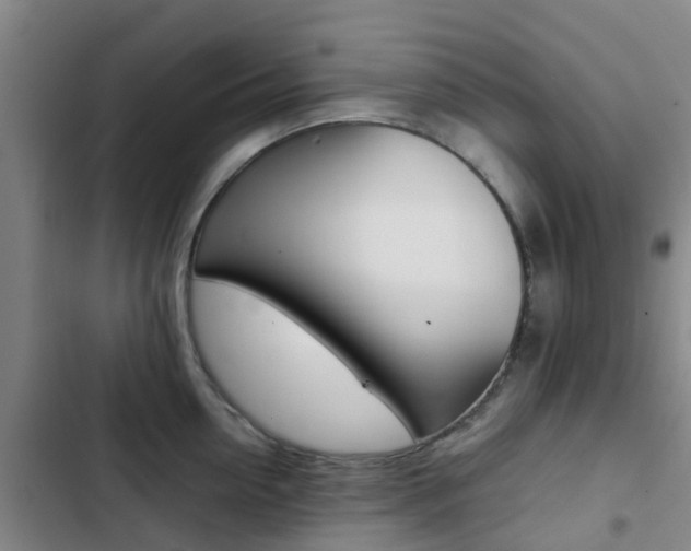 X0000103270954200808291104