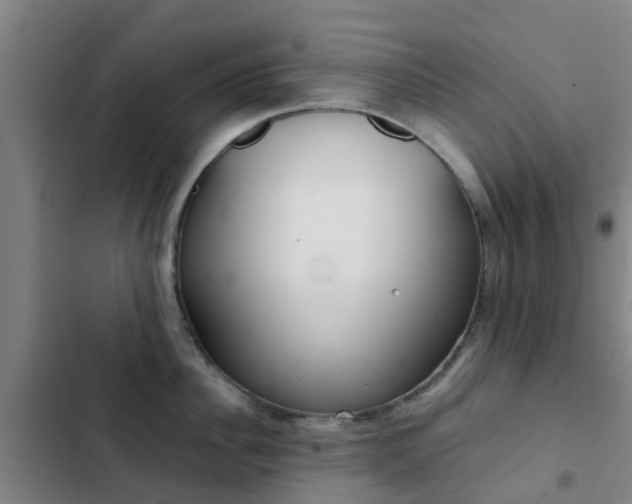 X0000103270956200808291104