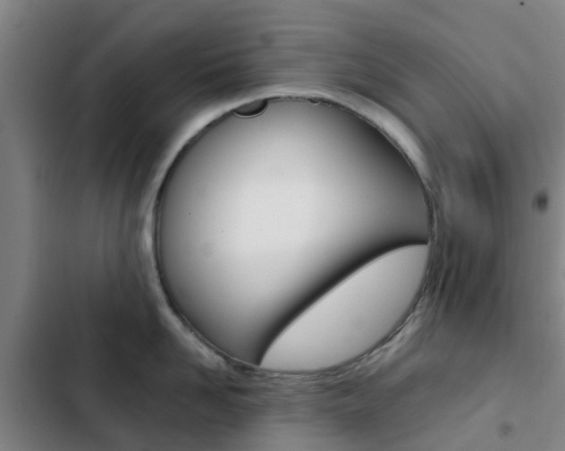 X0000103270958200808291104