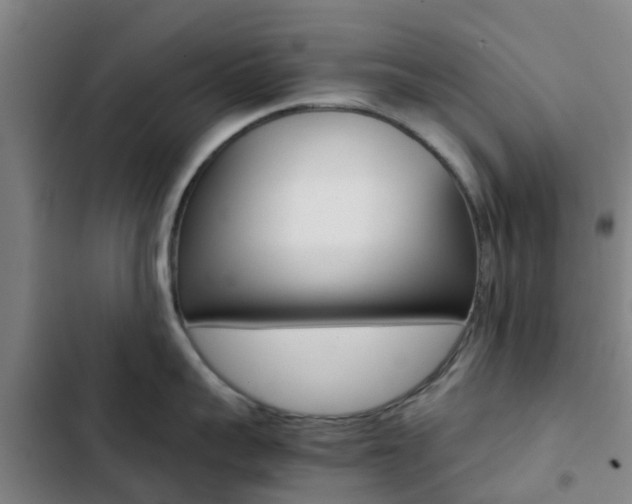 X0000103270959200808291104