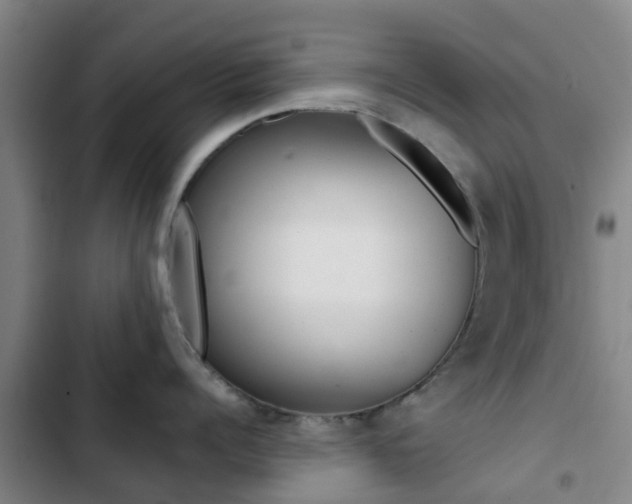 X0000103270960200808291104