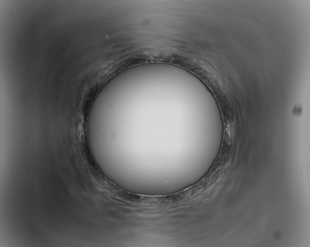 X0000103270963200808291103