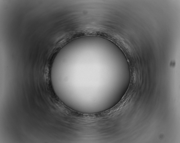 X0000103270964200808291103
