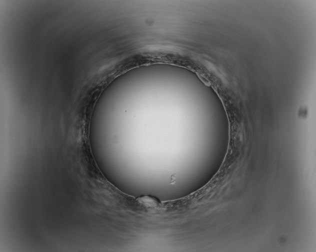 X0000103270965200808291103