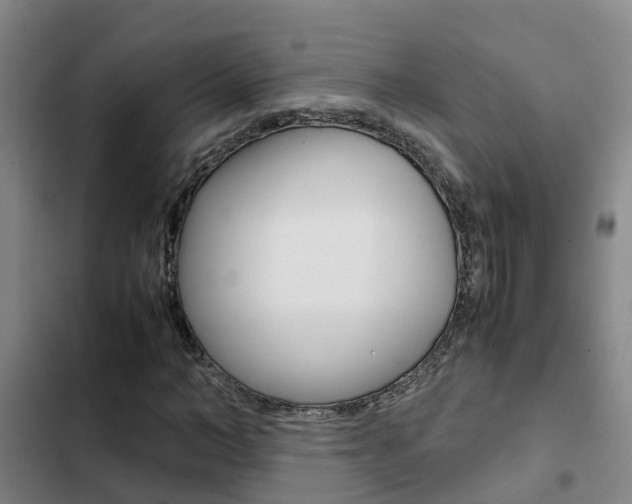 X0000103270966200808291103