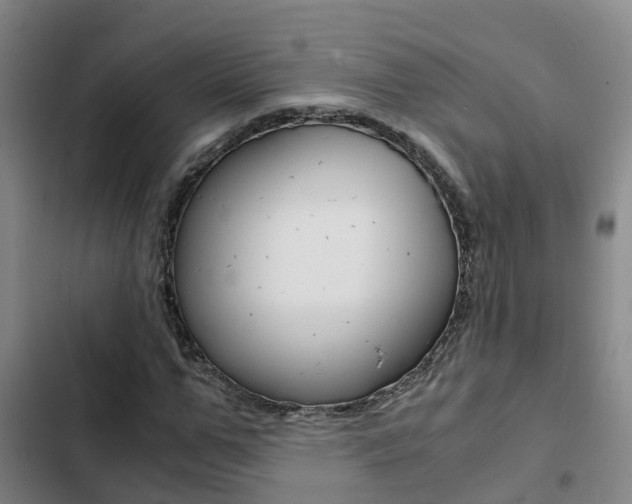 X0000103270967200808291103
