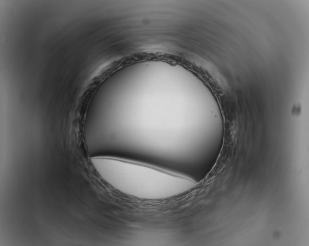 X0000103270968200808291103
