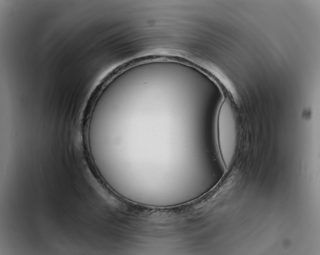 X0000103270972200808291103