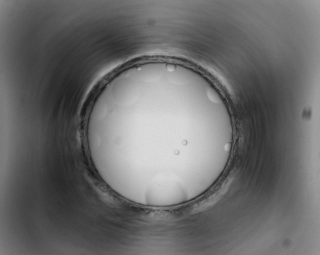 X0000103270974200808291103