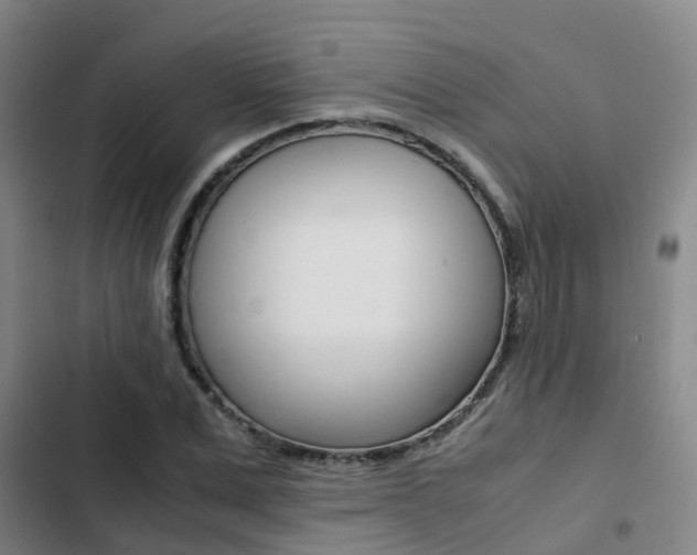 X0000103270975200808291103