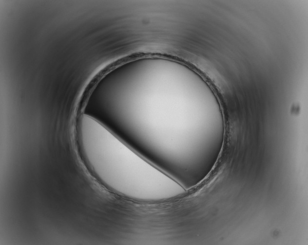 X0000103270976200808291103