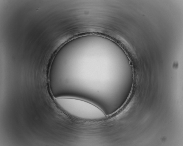 X0000103270977200808291103