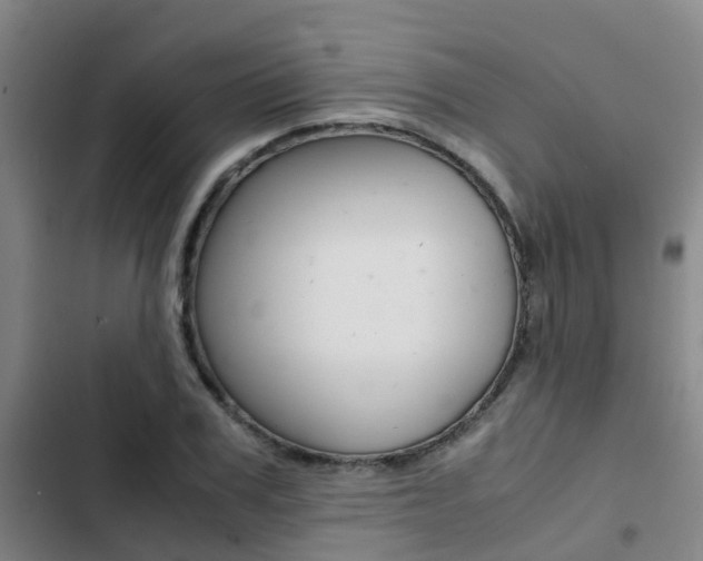 X0000103270979200808291103