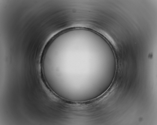 X0000103270980200808291103