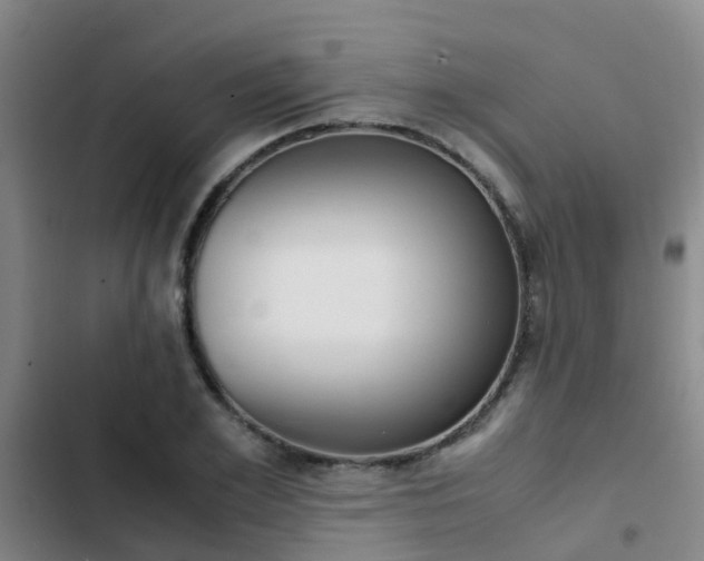 X0000103270981200808291103