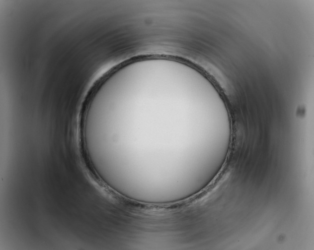 X0000103270982200808291103