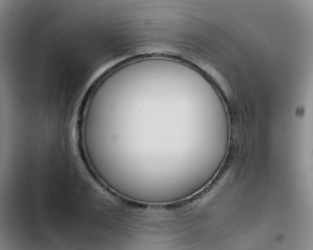 X0000103270983200808291103