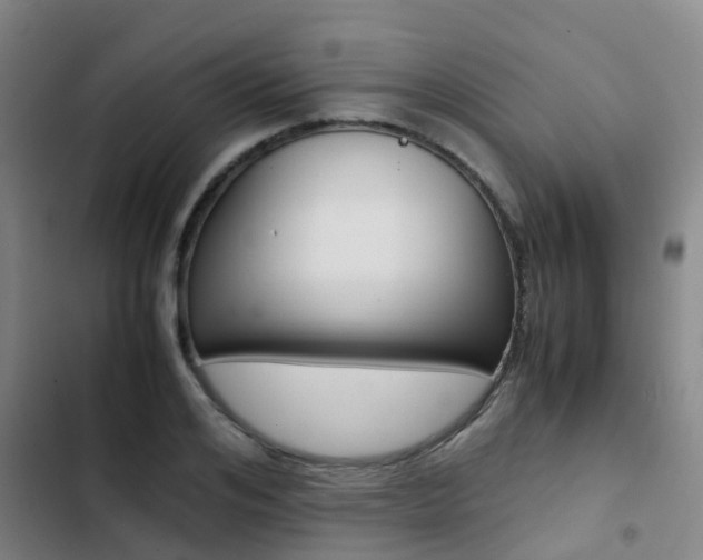 X0000103270984200808291103