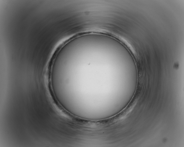 X0000103270987200808291103