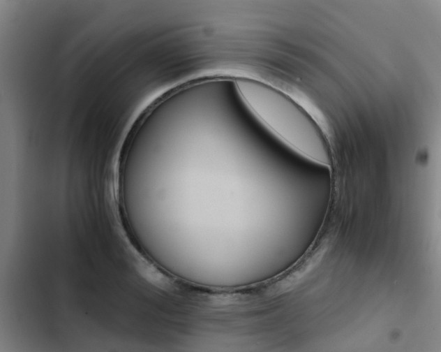 X0000103270988200808291103