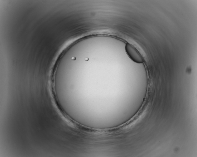 X0000103270989200808291103