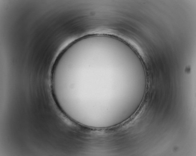 X0000103270990200808291103
