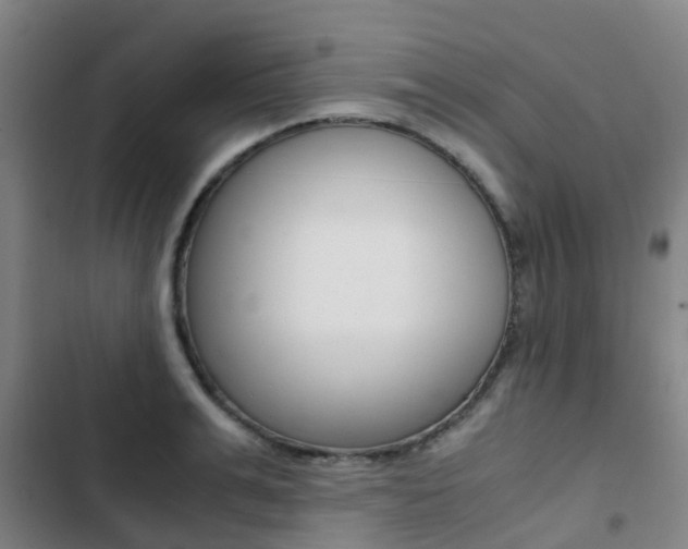 X0000103270991200808291103