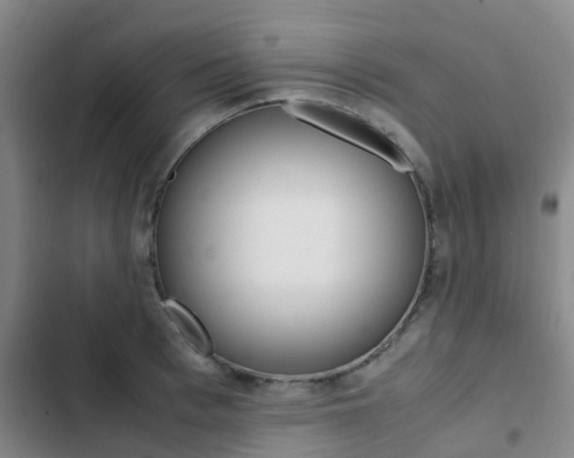 X0000103270993200808291103