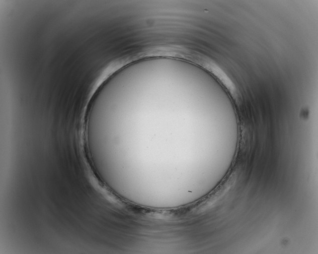 X0000103270994200808291103
