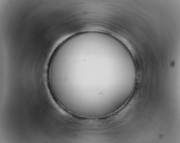 X0000103270995200808291103
