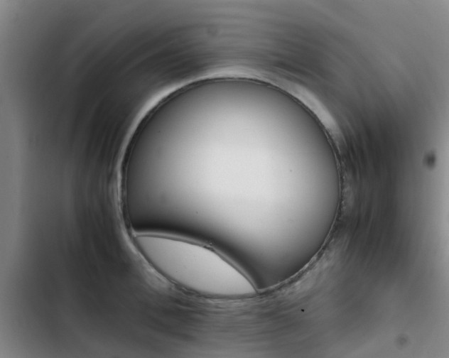 X0000103270996200808291103
