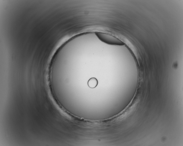 X0000103270997200808291103
