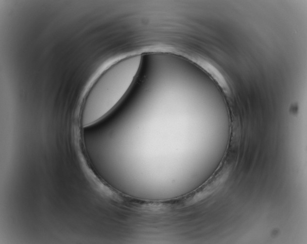 X0000103271000200808291103