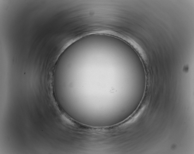 X0000103271001200808291103